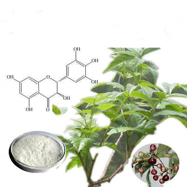 Dihydromyricetin Bulk Powder Dihydromyricetin Bulk Powder