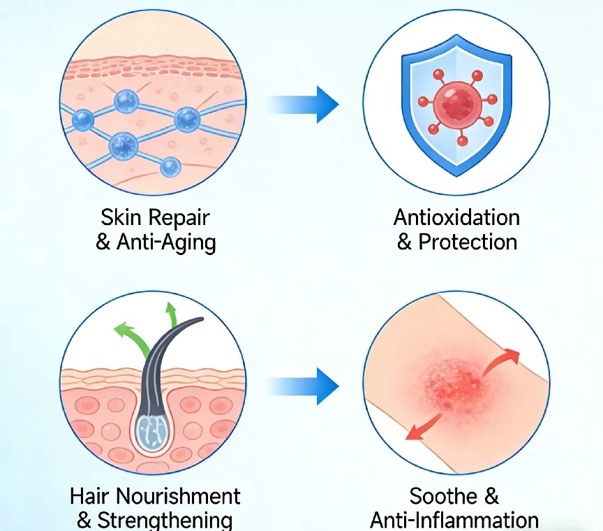 Core Efficacy of Copper Peptide Ghk Cu Powder Core Efficacy of Copper Peptide Ghk Cu Powder